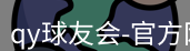 qy球友会